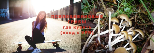 СК Киреевск