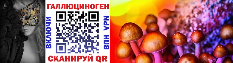 blacksprut онион  Котельники  Псилоцибиновые грибы Psilocybine cubensis 